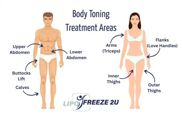Graphic showing where you can have Body toning Treatment St Neots on your body